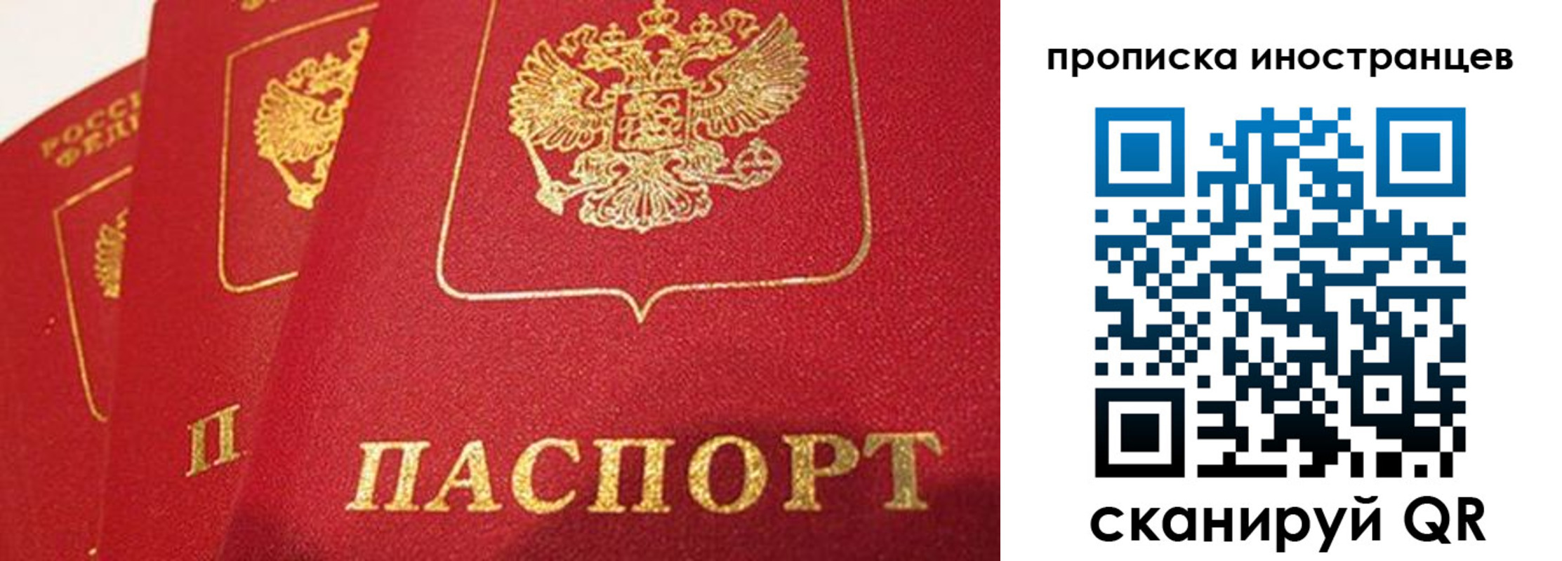 прописка поиск в Карабаново